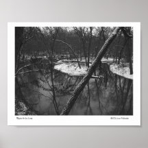 Before the Ice Comes Posters