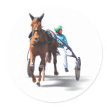 Before the Race Round Sticker
