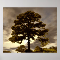 Before The Storm, Fine Art Print or Poster