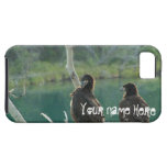 BEG Bald Eagle Grooming iPhone 5 Covers