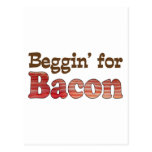 Beggin' for Bacon Postcards