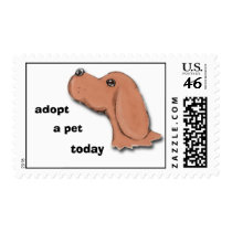 begging, adopt, a pet, today postage
