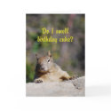 Begging Squirrel Happy Birthday cards