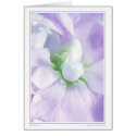 Beginning cards