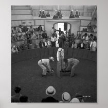 Beginning of a Cock Fight in Puerto Rico Print