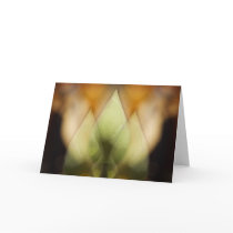 Beginnings cards