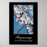 Beginnings Demotivational Poster posters