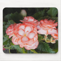 Begonia Alfombrilla De Ratones