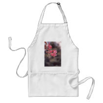 Begonia aprons