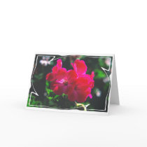 Begonia cards
