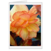 Begonia cards by bdtstudio2 Begonia cards