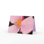 Begonia Card