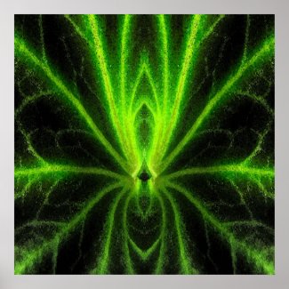 Begonia Leaf Abstract