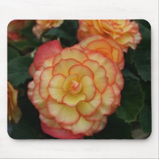 Begonia mousepad
