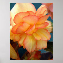 Begonia Print