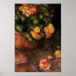 Begonia - Tragedy Print
