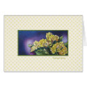 Begonias cards
