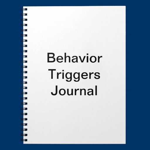 Behavior Triggers Journal/ Notebook
