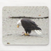 BEHF Bald Eagle Hoarding Fish Mouse Pads