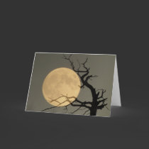 Behind cards