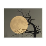 Behind - Full moon behind bare tree collage Post Card