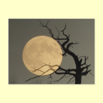 Behind - Full moon behind bare tree collage postcards