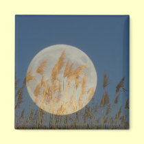 Behind - Full moon behind grass collage magnets