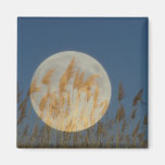Behind - Full moon behind grass collage Magnet