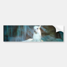 Behind the Falls Bumper Stickers