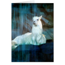 Behind the Falls Cards