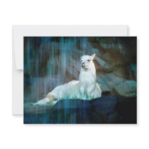 Behind the Falls Invitations