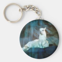 Behind the Falls Key Chain