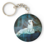 Behind the Falls Key Chain