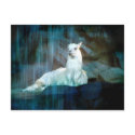 Behind the Falls postcards