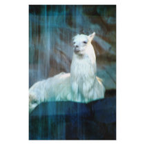 Behind the Falls stationery