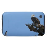 BEIAM Bald Eagle Ignores a Magpie Tough iPhone 3 Cover