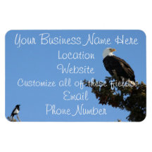BEIAM Bald Eagle Ignores a Magpie Rectangular Magnets