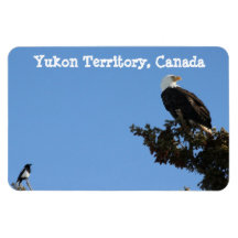 BEIAM Bald Eagle Ignores a Magpie Rectangle Magnet