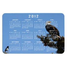 BEIAM Bald Eagle Ignores a Magpie Vinyl Magnets