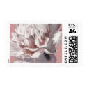 Beige Pink Peony Wedding Postage postage
