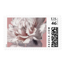 Beige Pink Peony Wedding Postage