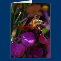 Be'ing a Busy Bee! cards