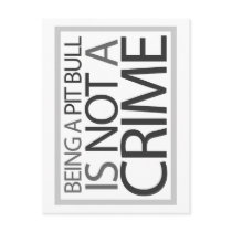 Being a Pit Bull is Not a Crime Postcard