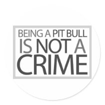 Being a Pit Bull is Not a Crime Round Stickers