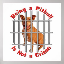 Being a Pitbull is not a Crime Posters