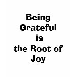 Being Grateful is the Root of Joy t-shirts