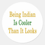 Being Indian Is Cooler Than It Looks Sticker