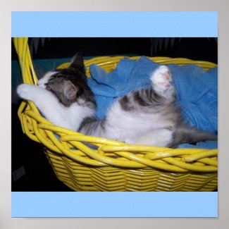 being silly kitty in basket print