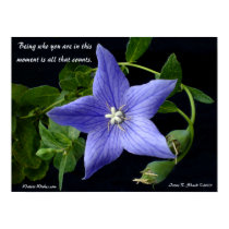 Being who you are. posters