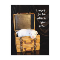 Being With You... postcards by beverlytazangel Being With You... postcards